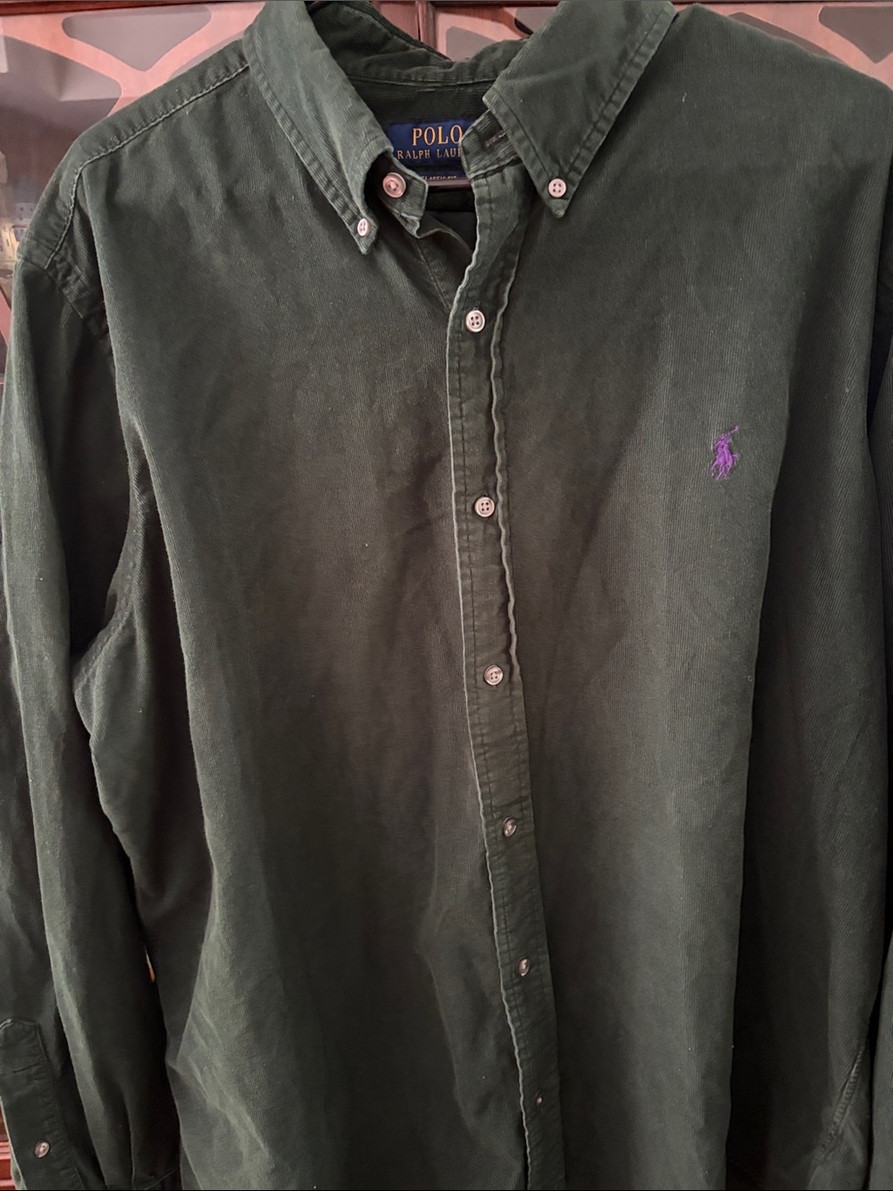Polo by Ralph Lauren Dark Green Button-Down Shirt with Purple Pony